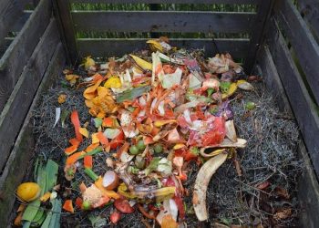 Creating Your Own Compost Bin: Easy and Eco-Friendly DIY Project