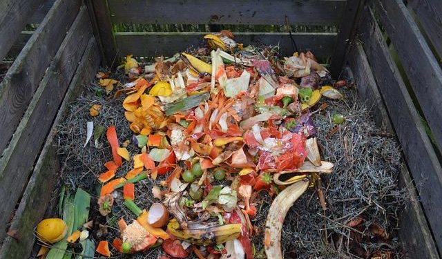 Creating Your Own Compost Bin: Easy and Eco-Friendly DIY Project