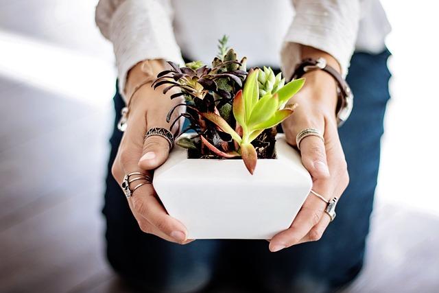 10 Essential Tips for Healthy Indoor Plants