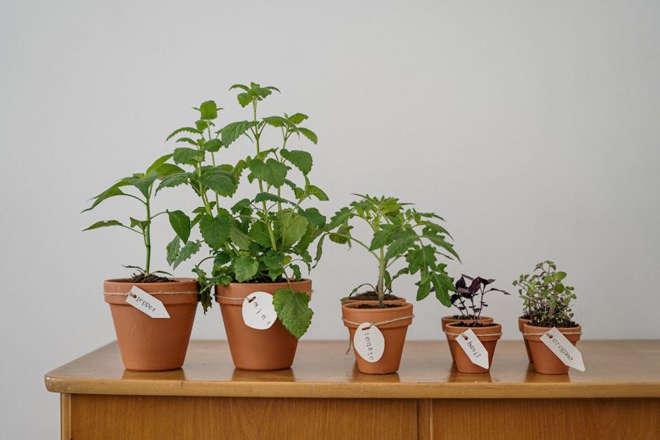 Growing ​Your Own Herbs: Essential Tips for ‌a Thriving Herb Garden