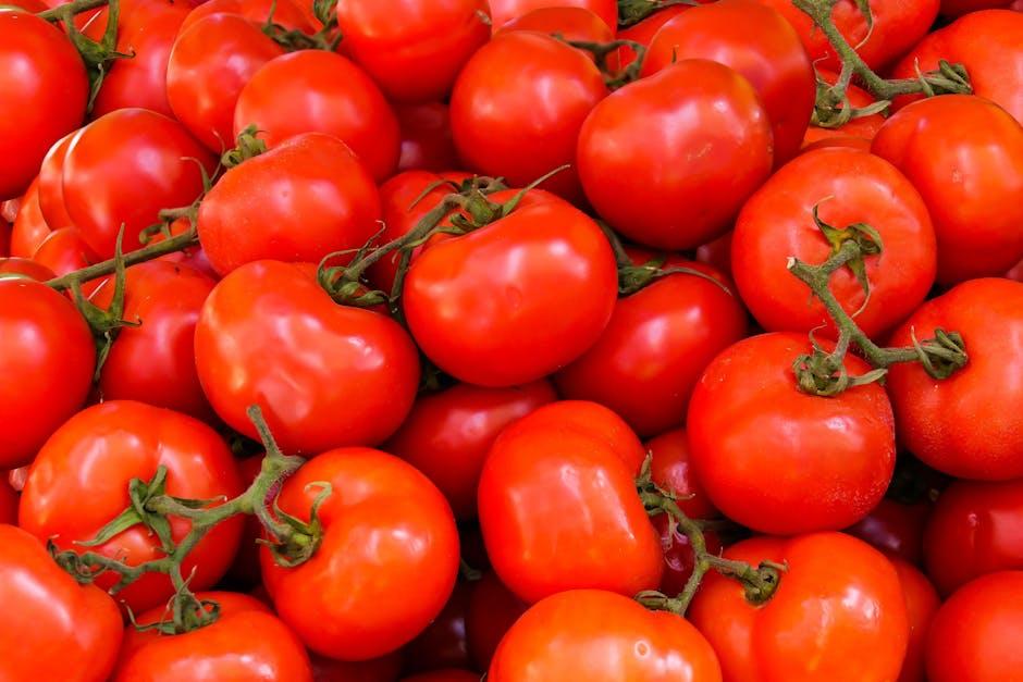 The Beginner's Guide to Growing Tomatoes: Tips for a Bountiful Harvest