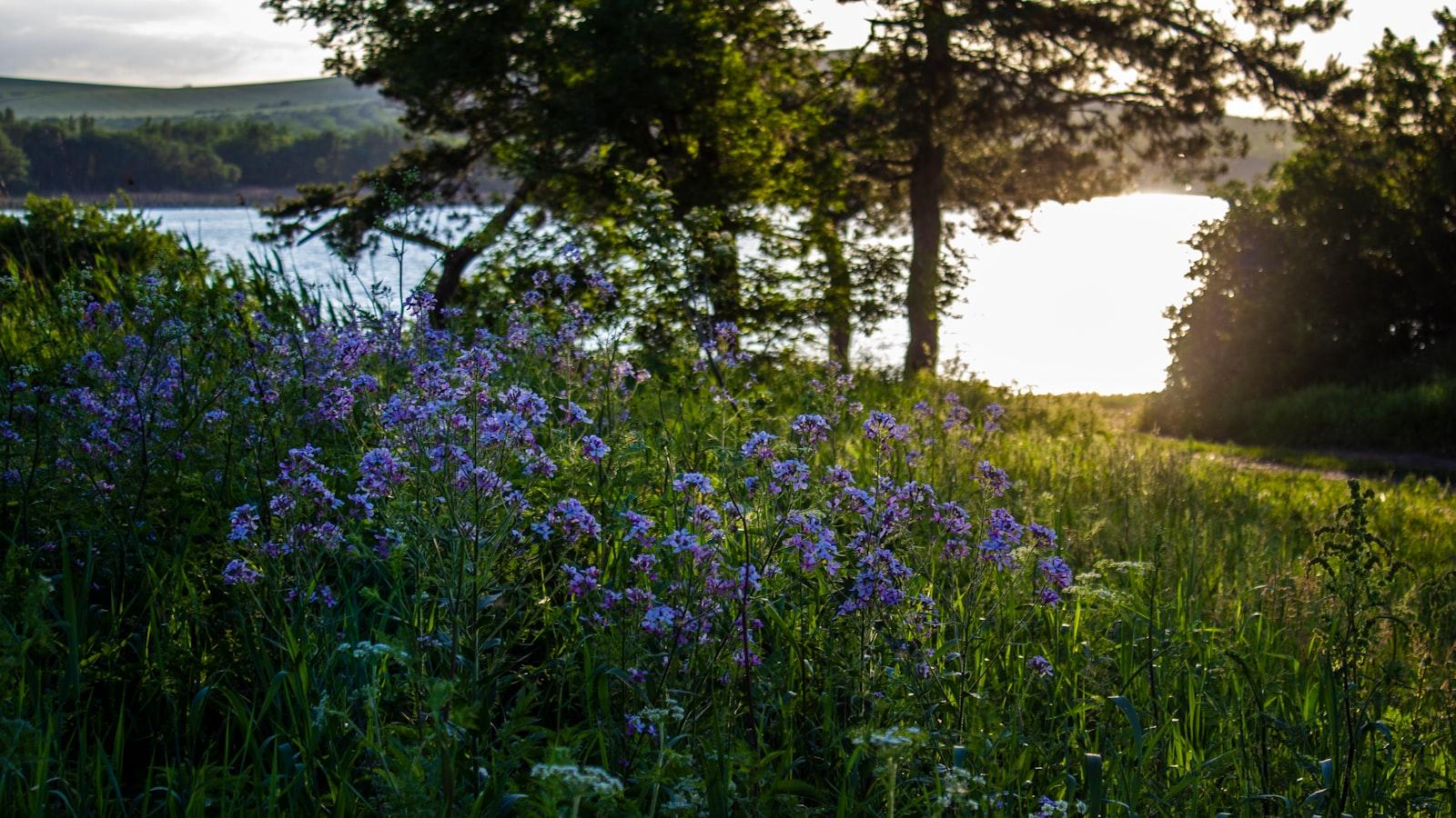 The Science of Soil: Essential Tips for Soil Health and Fertility